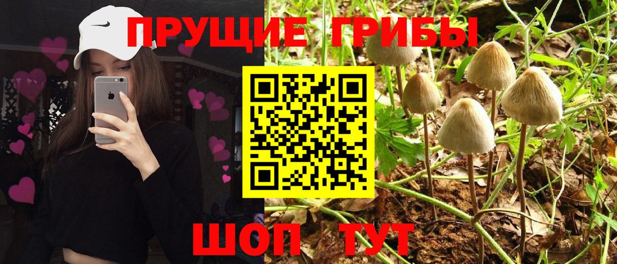 Краснокамск  Галлюциногенные грибы мицелий  Вход с VPN 